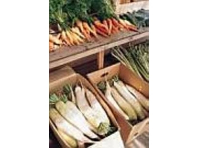 農家からその日朝摘みした新鮮野菜が届く_農産物直売所 旬の里