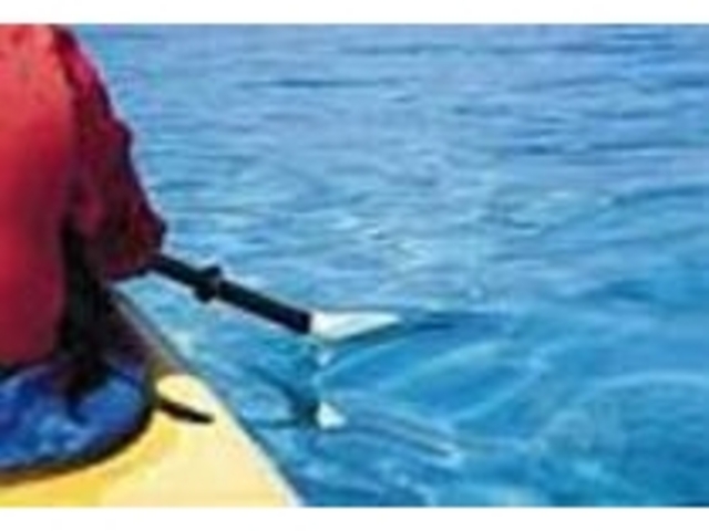海面をすべるように進むシーカヤック_Sea Kayak Tours BIGBAY
