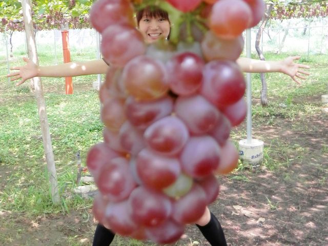こんな写真も挑戦してみる?!_笛吹ワイン