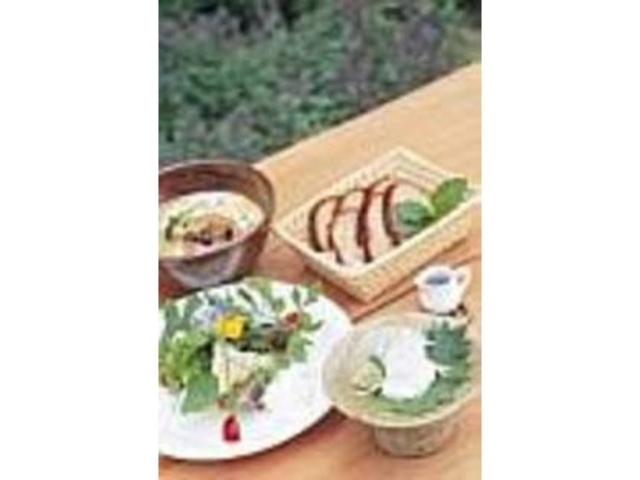 ホエーシチューセットと生チーズの冷奴風_弓削牧場 チーズハウス ヤルゴイ
