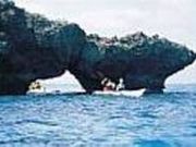 Sea Kayak Tours BIGBAYの写真2