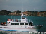 銚子海洋研究所イルカ・クジラウォッチングの写真2