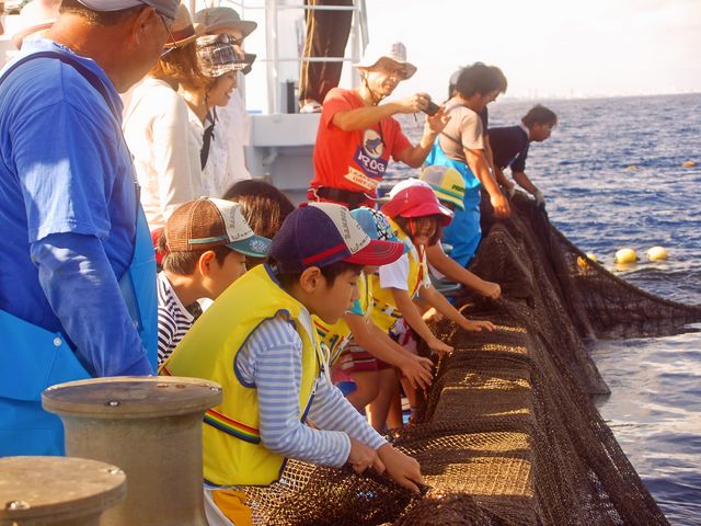 子供から大人まで楽しめる定置網体験。_読谷村漁業協同組合