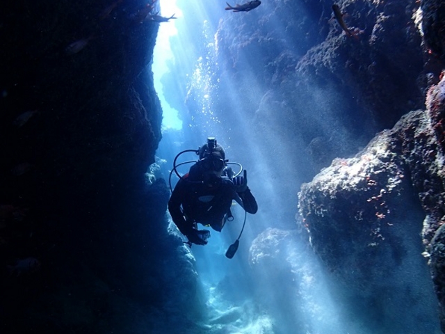Udive