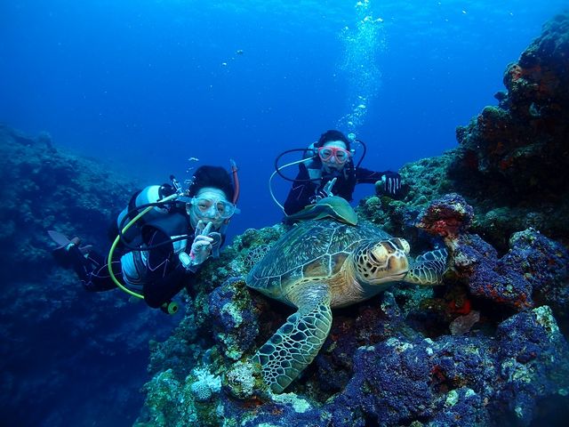 Udive