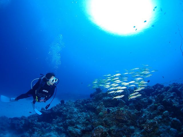 Udive
