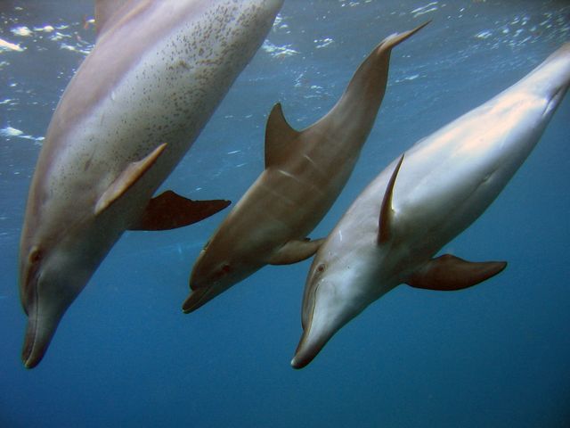 ケイズリパブリック熱海