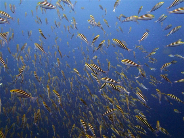 ケイズリパブリック熱海
