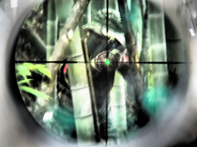 SURVIVAL GAME FIELD PARADOX