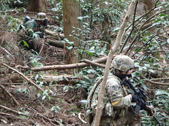 SURVIVAL GAME FIELD PARADOX