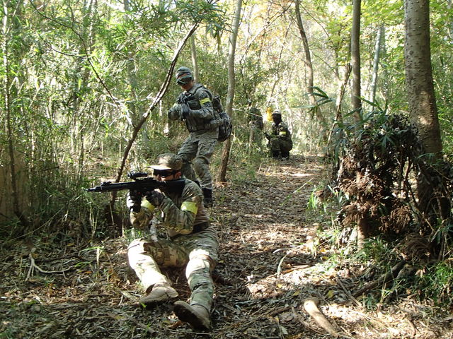 SURVIVAL GAME FIELD PARADOX
