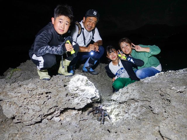 フィールドネイチャー石垣島