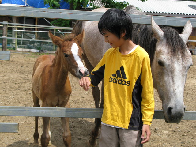 風来里馬小屋