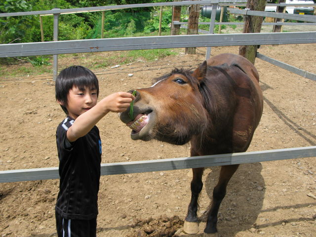 風来里馬小屋