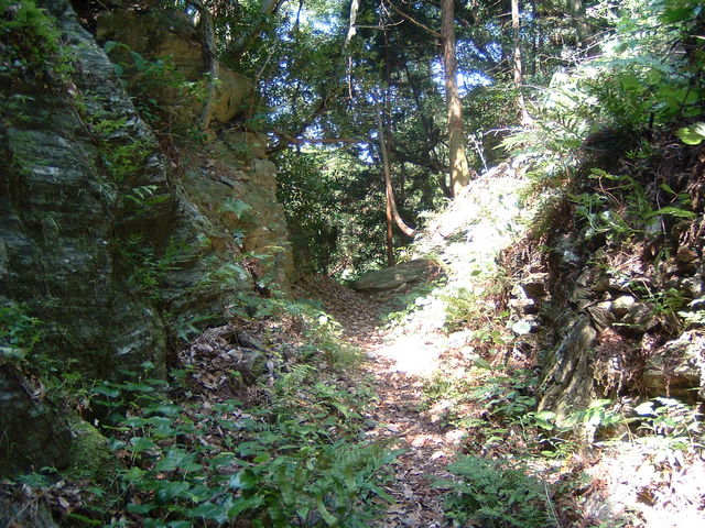 熊野古道女鬼峠(めきとうげ)保存会