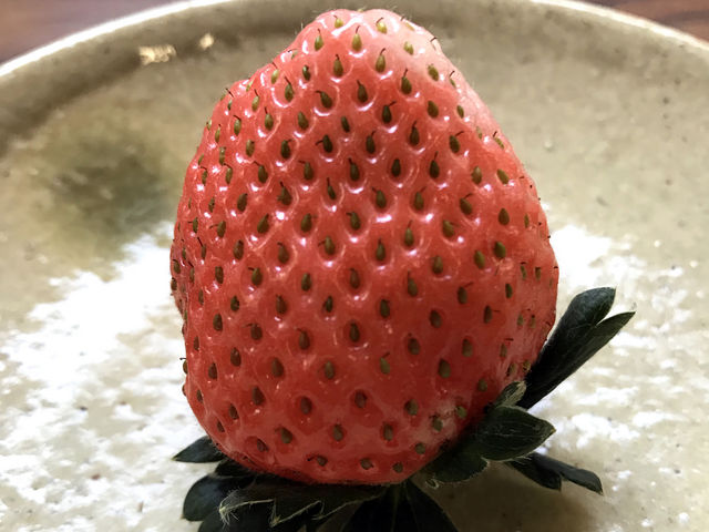 丸鉄園