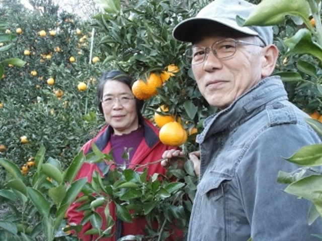 私たちが栽培しています。
皆さんが楽しんでいただけるよう、精一杯接待させていただきます。_あかざと園