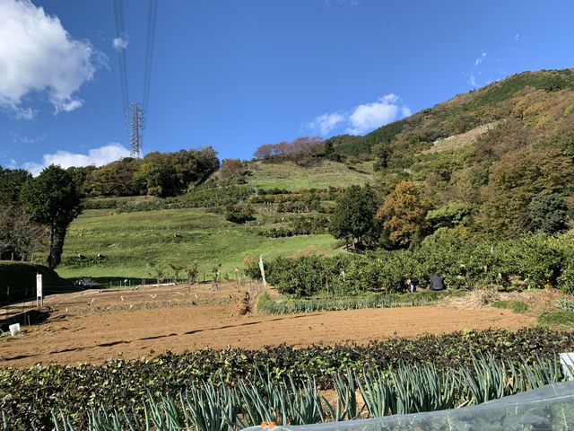 三岳園