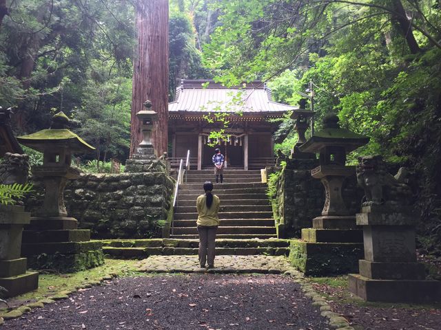 神秘的な佇まいの八幡宮来宮神社は知る人ぞ知るパワースポットです_グレートネイチャーツアーズ