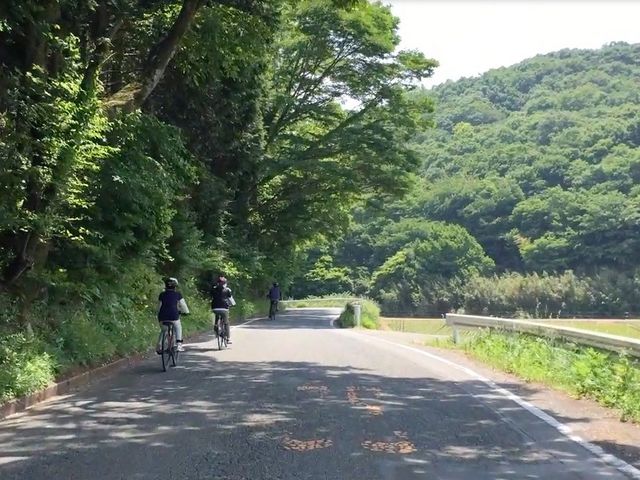ほとんどこがずに軽快なダウンヒルを楽しめます_グレートネイチャーツアーズ