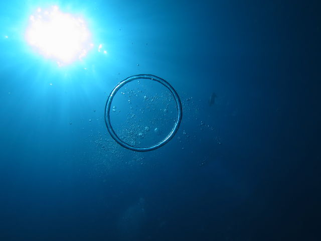 Diving20
