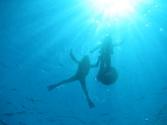 Diving20