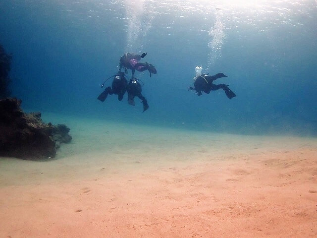 Diving20