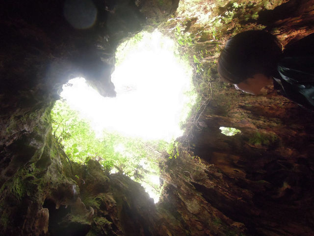 屋久島トレック