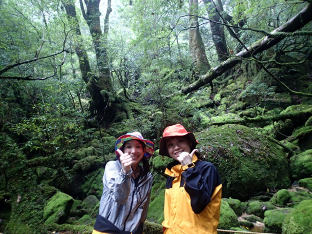 「苔むす森」へ是非!(白谷雲水峡ルート)_屋久島ガイド 島あそび