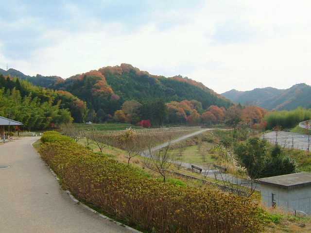 農業庭園たわわ