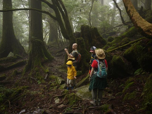 屋久島Prana