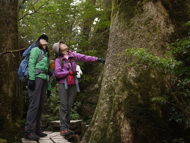 屋久島Prana