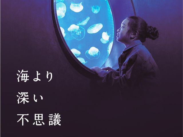 クラゲのいやし_仙台うみの杜水族館