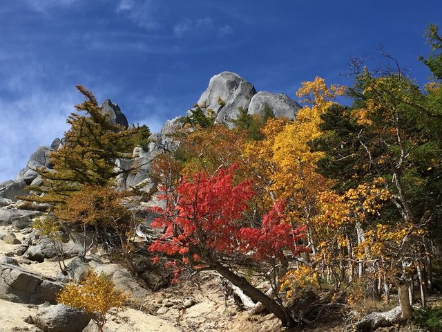 ガイド登山_ゼログラビティ