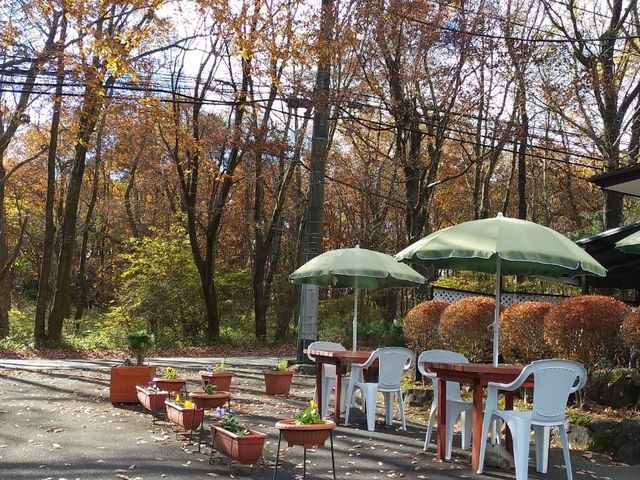 紅葉(10〜11月)_ペンション&レストラン グリーンアベニュー