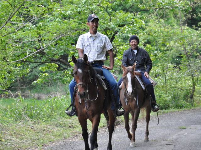 TANIMOTO HORSE RANCH