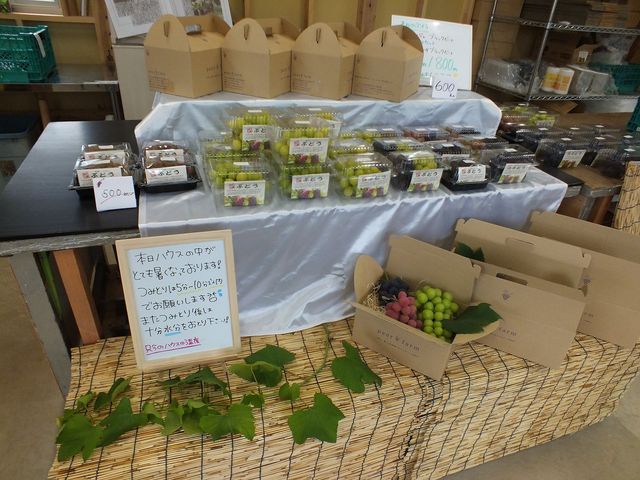 ぶどうの店頭販売_ピアファームぶどう園「あわらベルジェ」