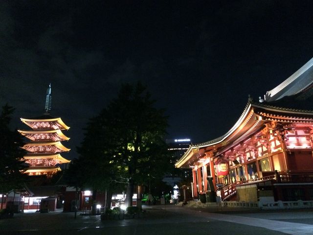 夜のご案内も素敵です。_浅草人力車 小杉屋