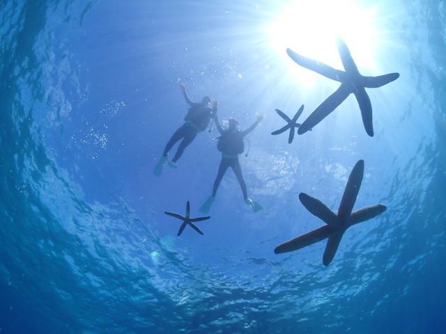 ヒトデを添えて1枚!_abuku diving & snorkeling