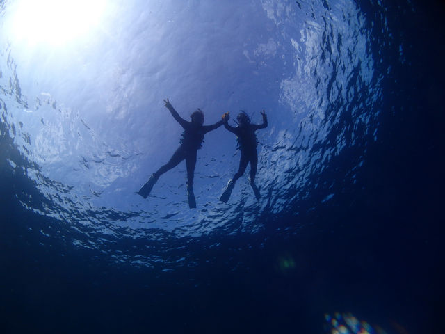 したから撮影した写真は、まるで空を飛んでいるよう!?_abuku diving & snorkeling