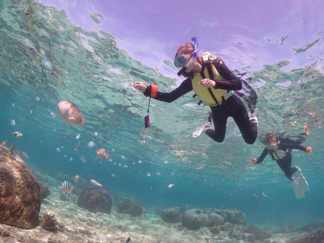 餌付け中は、たくさんの熱帯魚が集まってきますよ♪_abuku diving & snorkeling