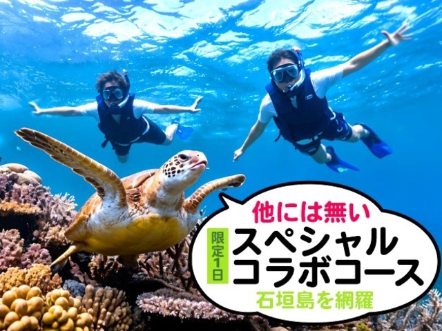 石垣島が初めての方に、特にお得で人気!施設も充実!_石垣島ツアーガイドオールブルー