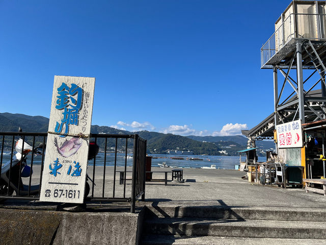 海上釣堀 筏釣りの東海