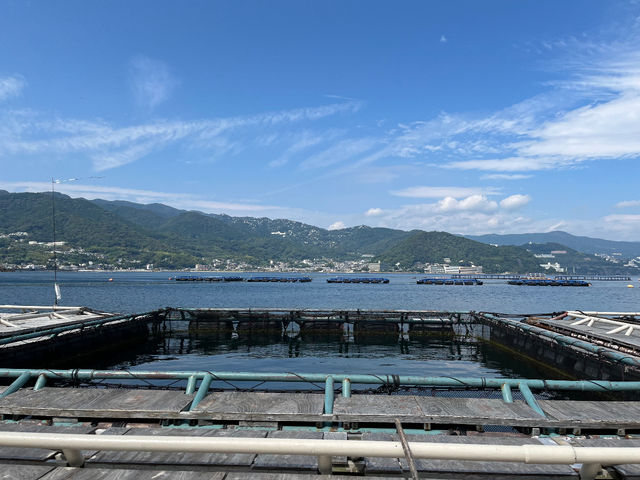 海上釣堀 筏釣りの東海
