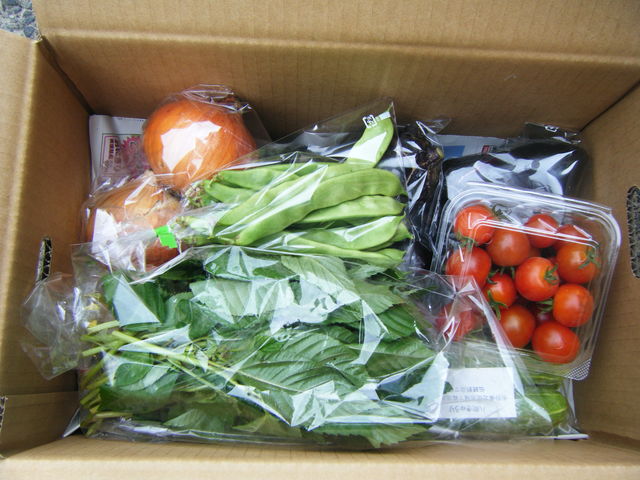 収穫したての野菜を箱いっぱいお持ち帰りできます。_ふるば村自然農園