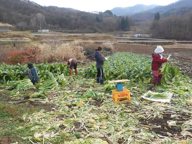 大岡グリーンツーリズム倶楽部