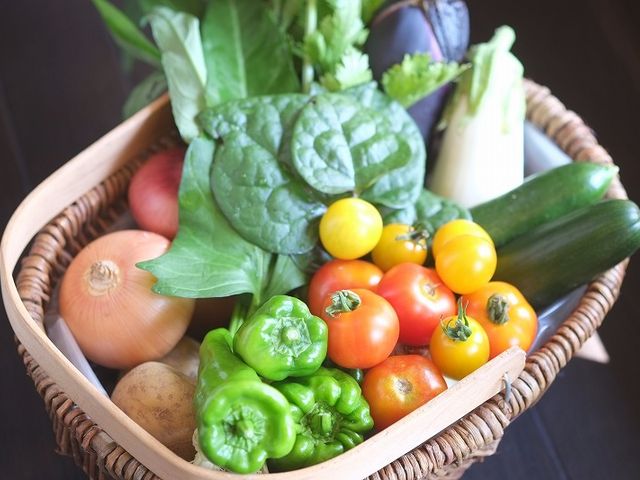 有機野菜を利用した料理教室も開催_セラム
