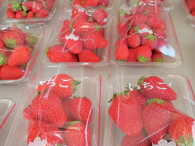 いちごはうす西脇