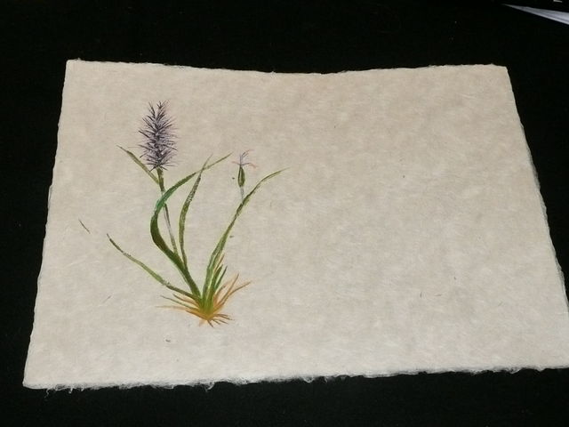 ランチョンマットに絵付け_植和紙工房
