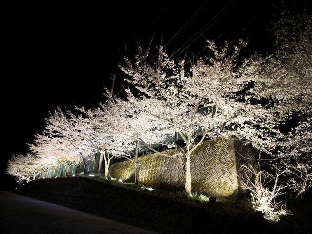 中尾観光組合